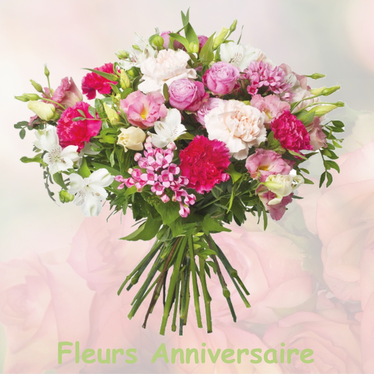 fleurs anniversaire LE-ROUGET